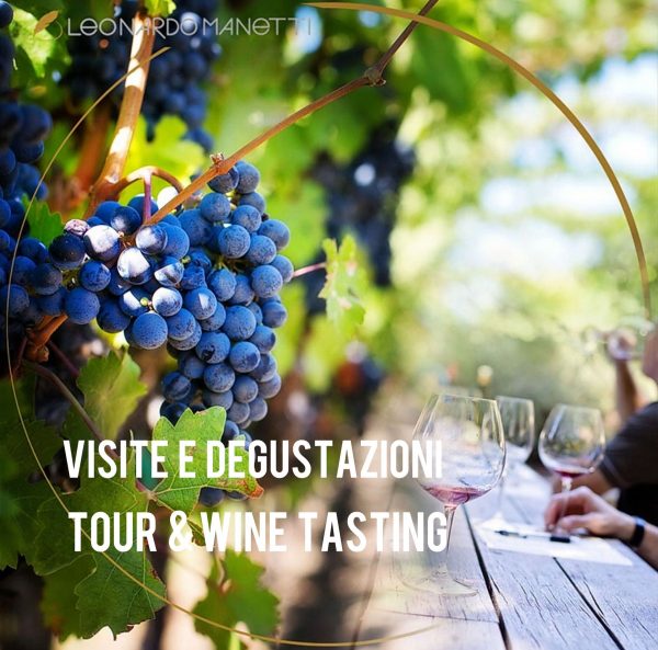 TOUR AND WINE TASTING
